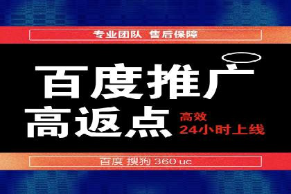 成功企业背后的百度推广策略